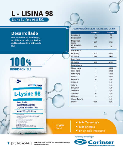 L-Lisina 98